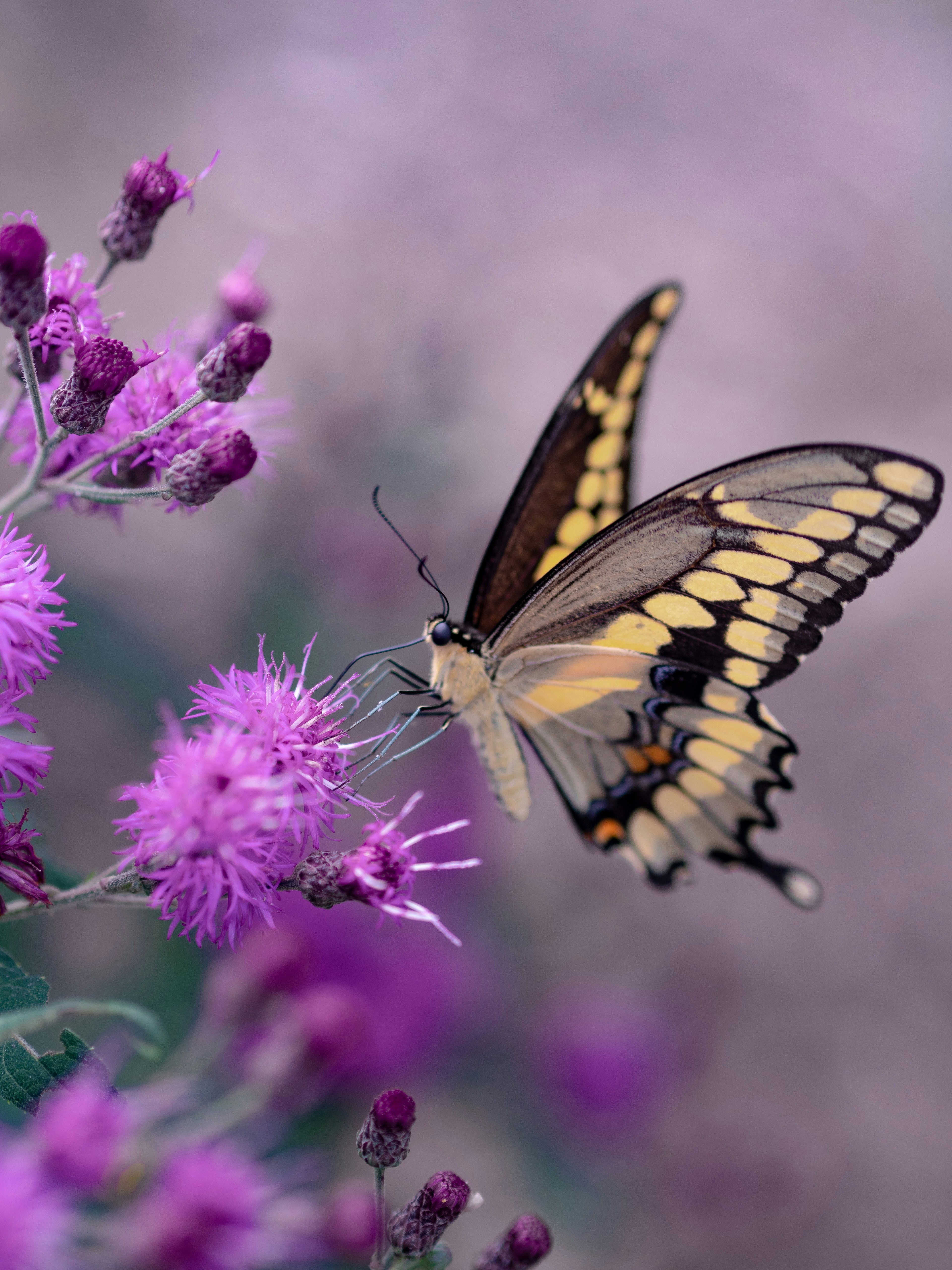 Navigating Money Trauma in Business: A Course for Building Sustainable, Ethical Enterprises